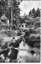 Vakantieverblijf Coldenhove Eerbeek., Verzamelen, Ansichtkaarten | Nederland, Ophalen of Verzenden, 1960 tot 1980, Ongelopen, Gelderland