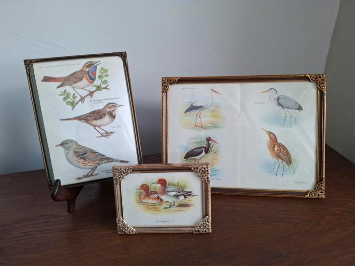 Vintage Jyden fotolijstjes, messing, bolglas, Huis en Inrichting, Woonaccessoires | Lijsten, Minder dan 50 cm, Minder dan 50 cm