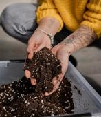 Potgrondmix voor kamerplanten per Liter, Ophalen of Verzenden, Overige soorten, Minder dan 100 cm