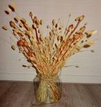 Mooie glazen vaas met droogbloemen, Huis en Inrichting, Ophalen, Zo goed als nieuw