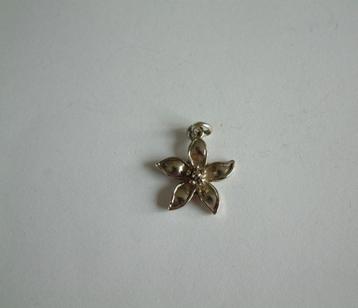 mooi bloem hangertje beschikbaar voor biedingen