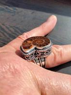 ammoniet ring maat 18,75, Sieraden, Tassen en Uiterlijk, Ringen, 18 tot 19, Bruin, Verzenden, Nieuw