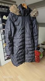 Tommy Hilfiger Damesjas - Maat L, Ophalen of Verzenden, Zo goed als nieuw