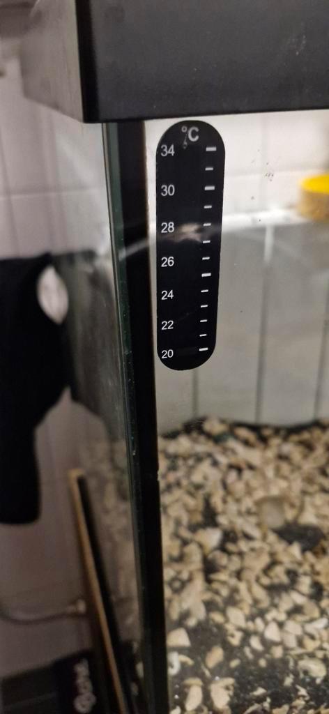 Superfish aquarium 60x30x30, Dieren en Toebehoren, Vissen | Aquaria en Toebehoren, Gebruikt, Overige typen, Ophalen