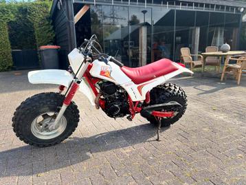 Yamaha bw200 met papieren beschikbaar voor biedingen