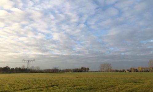 Stalling/stuk grond/weide of zandgrond gezocht in eigen behe, Dieren en Toebehoren, Stalling en Weidegang, Stalling, Weidegang