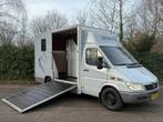 Mercedes Sprinter Paardenwagen Horsetruck zijlader 2 paards, Dieren en Toebehoren, Gebruikt, Rensing, Rensingautos@hotmail.com