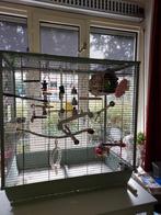 Agaponis Dwergpapegaai, Ophalen, Zo goed als nieuw, Diverse