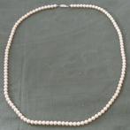 Nr A584b: Parelsnoer (83 cm), Overige materialen, Gebruikt, Wit, Tweedehands onbekend.