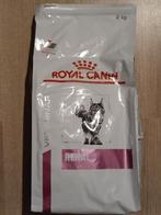 Royal Canin Renal droogvoeding voor katten, Dieren en Toebehoren, Dierenvoeding, Ophalen, Kat