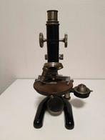 Antieke Reichert Microscoop, Wenen, Vroege 20e Eeuw, Ophalen