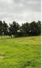 Stalling weidegang  doe het zelf stal gezocht, Weidegang, 4 paarden of pony's of meer