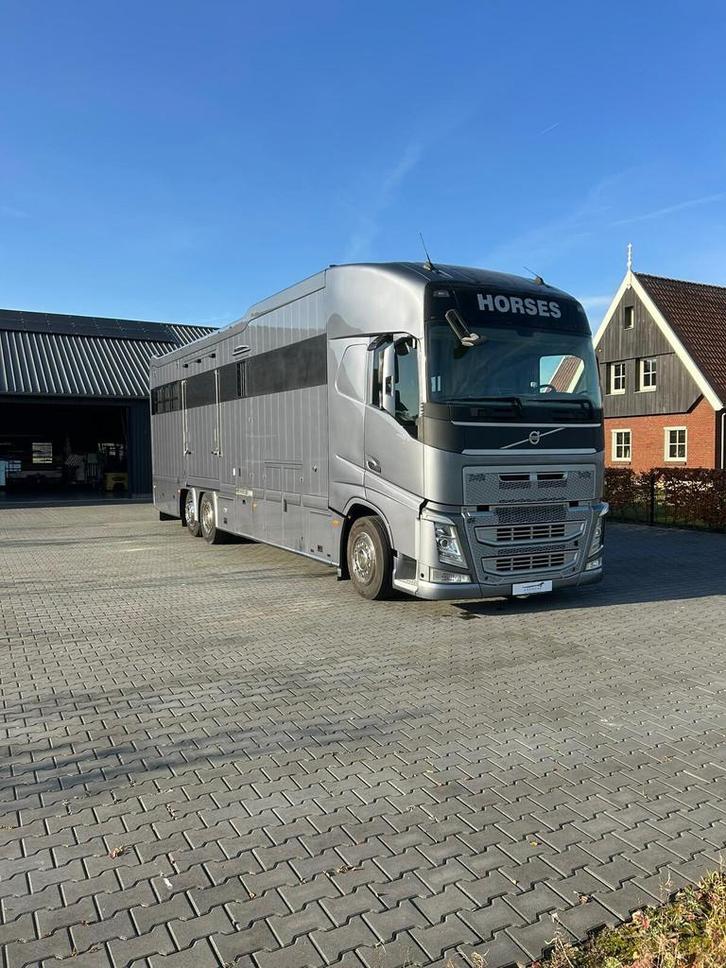 Volvo FH540 Occasion 9 paards paardenvrachtwagen met living, Auto's, Vrachtwagens, Bedrijf, Airconditioning, Cruise Control, Elektrische buitenspiegels