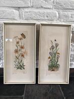 2 oude lijsten met bloemenprent, Ophalen of Verzenden, Zo goed als nieuw, Hout, Minder dan 50 cm