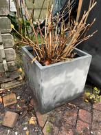 3 stuks betonlook Bloembakken, Tuin en Terras, Bloembakken en Plantenbakken, Ophalen, Gebruikt, Minder dan 60 cm, Vierkant