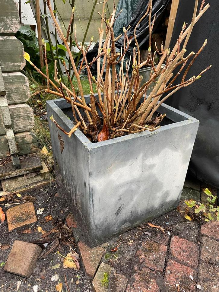 3 stuks betonlook Bloembakken, Tuin en Terras, Bloembakken en Plantenbakken, Gebruikt, Beton, Tuin, 30 tot 60 cm, Minder dan 60 cm