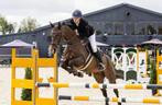 Stal/Plekje vrij voor trainingspaard, Diensten en Vakmensen, Dieren | Paarden | Verzorging, Oppas en Les