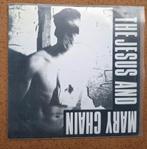 Jesus and Mary Chain - In a hole (live) - Single is TOP, Verzenden, 7 inch, Single, Zo goed als nieuw