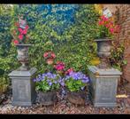 Antieke gietijzeren vazen op zuilen en plantenrek, Ophalen, Gebruikt