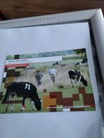 BRABANT /  SAMEN RUIMTE MAKEN.  Koeien, Ophalen of Verzenden, Overige thema's