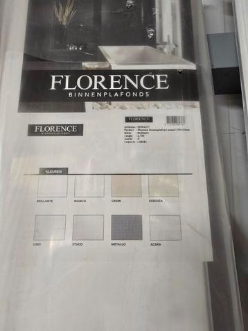 Plafondpanelen florance brilliante beschikbaar voor biedingen