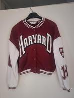 Zo goed als nieuwe H&M Harvard vest, H&M, Ophalen of Verzenden, Zo goed als nieuw, Jasje