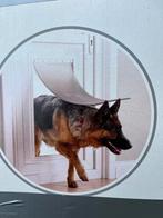 Petsafe Statwell wit aluminium huisdierluik honden Xl nieuw, Ophalen of Verzenden, Nieuw
