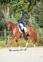 Aangeboden dressuurtraining door Grand prix amazone, Dieren en Toebehoren, Paarden en Pony's | Overige Paardenspullen, Ophalen of Verzenden