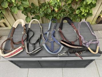 Diverse halsters full beschikbaar voor biedingen