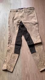 Pikeur paardrijbroek beige, Dieren en Toebehoren, Paardrijkleding, Gebruikt, Dressuur, Dames, Onderkleding
