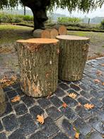Boomstammen 45/50cm doorsnede 60cm hoog eiken, Minder dan 3 m³, Ophalen, Eikenhout, Stammen