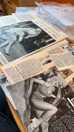 Mamie van Doren filmster zeer uitgebreid dossier