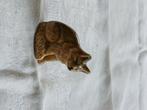 Beeldje, Ophalen of Verzenden, Gebruikt, Hond of Kat, Beeldje of Figuurtje