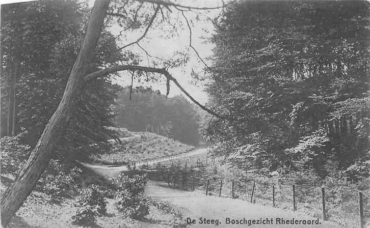 377-070-019 De Steeg Boschgezicht Rhederoord, Verzamelen, Ansichtkaarten | Nederland, Gelderland, Voor 1920, Ophalen of Verzenden