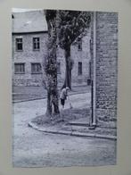Vrouw veegt de straat in kamp Auschwitz, foto 45 x 30 cm,, Antiek en Kunst, Kunst | Tekeningen en Foto's, Verzenden