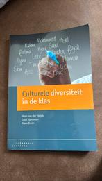 Luuk Kampman - Culturele diversiteit in de klas, Sociale wetenschap, Ophalen of Verzenden, Zo goed als nieuw, Luuk Kampman; Hans van der Heijde; Klaas Bruin