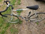 batavus champigon vintage racefiets, Ophalen, Gebruikt, Batavus, 10 tot 15 versnellingen