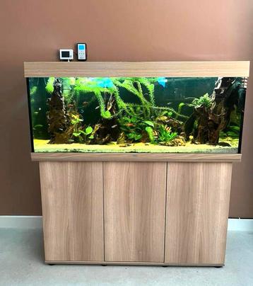 Aquarium Juwel 240 met inhoud en toebehoren.