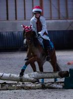 Super brave C pony, Dieren en Toebehoren, Pony's, B, C pony (1.27m tot 1.37m), 11 jaar of ouder, Recreatiepony