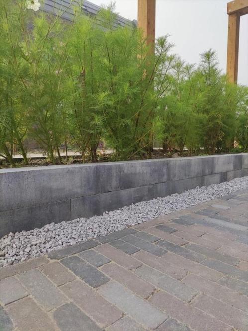 ACTIE Stapelblok linia excellence 15x15x30 grijs zwart, Tuin en Terras, Bielzen en Borders, Nieuw, Blok, Beton, Minder dan 25 cm