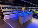 Zeeaquarium Vissen, Koralen & Toebehoren, Overige typen, Zoutwatervis