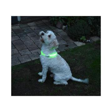 USB oplaadbare led verlichtingsbuis voor de hond beschikbaar voor biedingen