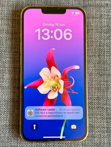 iPhone 13 Pro Goud 256GB - Puntgaaf en Nieuwe Batterij! beschikbaar voor biedingen