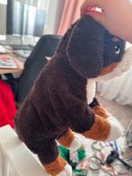 Schattige Berner Sennen knuffel, Ophalen of Verzenden, Zo goed als nieuw, Hond