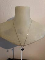 Nieuw zilver ketting kettinghanger slang chinees, Met hanger, Verzenden, Nieuw, Zilver