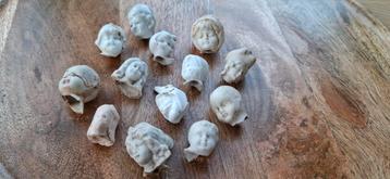Miniatuur poppenkopjes beschikbaar voor biedingen