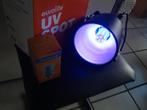 Nieuw: Eurolite UV-Spot met UV LED 5w, 20241024, MTE, Overige typen, Nieuw, Ophalen of Verzenden