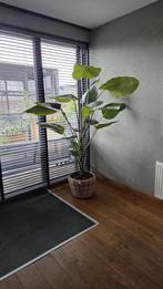 Mooie kunst Strelitzia van Easy plants 2m10, Huis en Inrichting, Ophalen