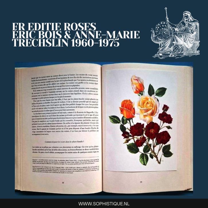 FR Editie Roses Éric Bois & Anne-Marie Trechslin 1960-1975, Boeken, Literatuur, Gelezen, Ophalen of Verzenden