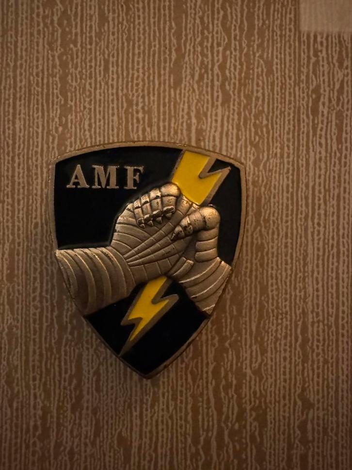 Speld AMF, Verzamelen, Militaria | Algemeen, Luchtmacht, Embleem of Badge, Nederland, Ophalen of Verzenden